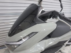 �z���_PCX�i���Q���ɗ\�S�u�����j�摜31