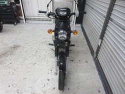 �z���_�N���X�J�u50�i���Q���ɗ\�S�u�����j�摜2