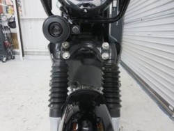 �z���_�N���X�J�u50�i���Q���ɗ\�S�u�����j�摜8