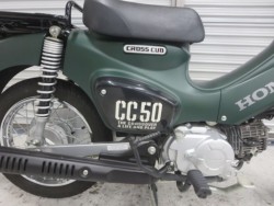 �z���_�N���X�J�u50�i���Q���ɗ\�S�u�����j�摜20