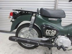 �z���_�N���X�J�u50�i���Q���ɗ\�S�u�����j�摜21