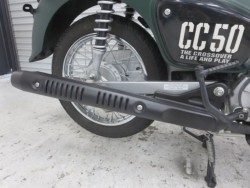 �z���_�N���X�J�u50�i���Q���ɗ\�S�u�����j�摜23