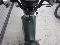 �z���_�N���X�J�u50�i���Q���ɗ\�S�u�����j�摜33