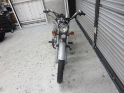 �z���_�\���i���Q���ɗ\�S�u�����j�摜2