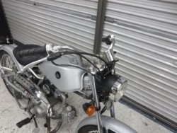 �z���_�\���i���Q���ɗ\�S�u�����j�摜3