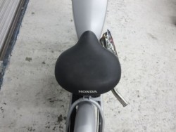 �z���_�\���i���Q���ɗ\�S�u�����j�摜21