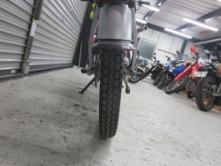 �z���_�\���i���Q���ɗ\�S�u�����j�摜23