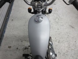 �z���_�\���i���Q���ɗ\�S�u�����j�摜24