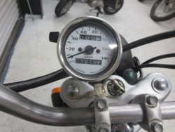 �z���_�\���i���Q���ɗ\�S�u�����j�摜26