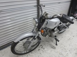 �z���_�\���i���Q���ɗ\�S�u�����j�摜30