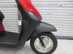 �z���_�^�N�g�E�x�[�V�b�N�i���Q���ɗ\�S�u�����j�摜11