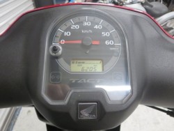 �z���_�^�N�g�E�x�[�V�b�N�i���Q���ɗ\�S�u�����j�摜28