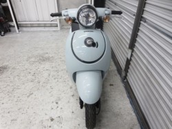 �z���_�W�����m�i���Q���ɗ\�S�u�����j�摜3