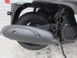 �z���_�W�����m�i���Q���ɗ\�S�u�����j�摜11