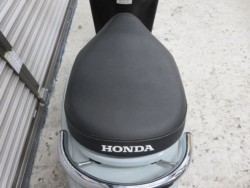 �z���_�W�����m�i���Q���ɗ\�S�u�����j�摜13