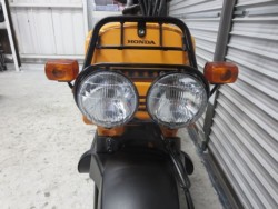 �z���_�Y�[�}�[�i���Q���ɗ\�S�u�����j�摜5
