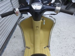 �z���_�W�����mDX�i���Q���ɗ\�S�u�����j�摜29