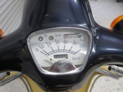 �z���_�W�����mDX�i���Q���ɗ\�S�u�����j�摜30