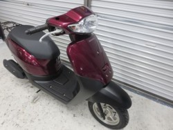 �z���_�^�N�g�E�x�[�V�b�N�i���Q���ɗ\�S�u�����j�摜8