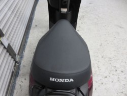 �z���_�^�N�g�E�x�[�V�b�N�i���Q���ɗ\�S�u�����j�摜23