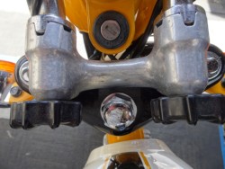 �z���_�����L�[�i���m���h�юs�j�摜6
