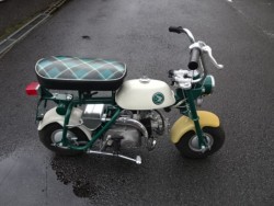 �z���_�����L�[�i���m���h�юs�j�摜2