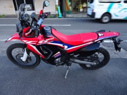 �z���_CRF250 RALLY�i���m���h�юs�j�摜2
