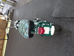 �z���_�����L�[�i���m���h�юs�j�摜3