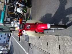 �z���_�X�[�p�[�J�u50�i���m���h�юs�j�摜3