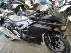 }n YZF-R25 