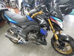 Z125 PRO