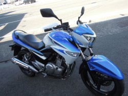 �X�Y�LGSR250�i���m�����m�s�j�摜1