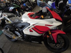 ���}�n&nbsp;YZF-R25 