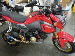 �z���_�O�����i���m�����m�s�j�摜1