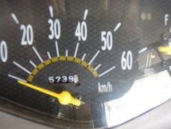 �z���_�f�B�I�`�F�X�^�i���m�����m�s�j�摜2