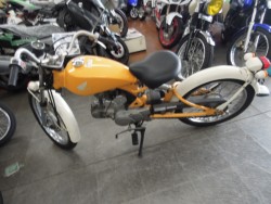 �z���_�\���i���m�����m�s�j�摜2