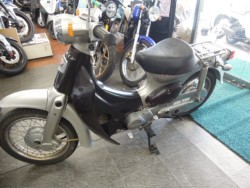 �z���_���g���J�u�i���m�����m�s�j�摜2
