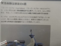 z_X[p[Ju50immsj摜3