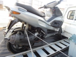 �W�����W���������i�[200�i���m�����m�s�j�摜4