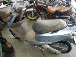 �z���_�f�B�I�`�F�X�^�i���m�����m�s�j�摜3