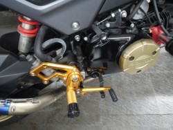 �z���_�O�����i���m�����m�s�j�摜3