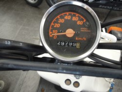 �z���_�Y�[�}�[�i���m�����m�s�j�摜3