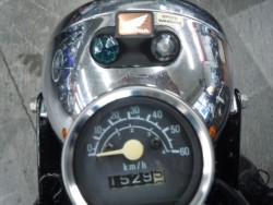 �z���_�S�����i���m�����m�s�j�摜3