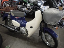 �z���_&nbsp;�X�[�p�[�J�u50�v�� 