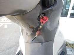 �W�����W���������i�[200�i���m�����m�s�j�摜6