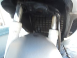 �W�����W���������i�[200�i���m�����m�s�j�摜7