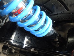 �X�Y�L�A�h���XV125�i���m�����m�s�j�摜8
