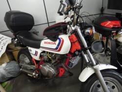 �z���_�G�C�v100�i���m�����m�s�j�摜1