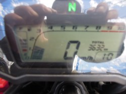 �z���_�O�����i���m�����m�s�j�摜9