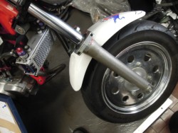 �z���_�G�C�v100�i���m�����m�s�j�摜3